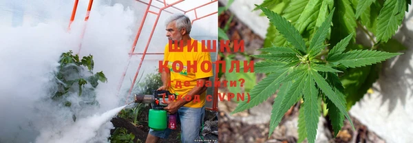 метамфетамин Козловка