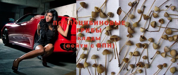 ГАЛЛЮЦИНОГЕННЫЕ ГРИБЫ Киреевск