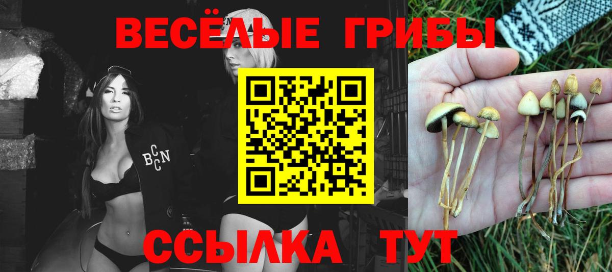 Моздок  Псилоцибиновые грибы мухоморы  Галлюциногенные грибы ЛСД  Вход с VPN 