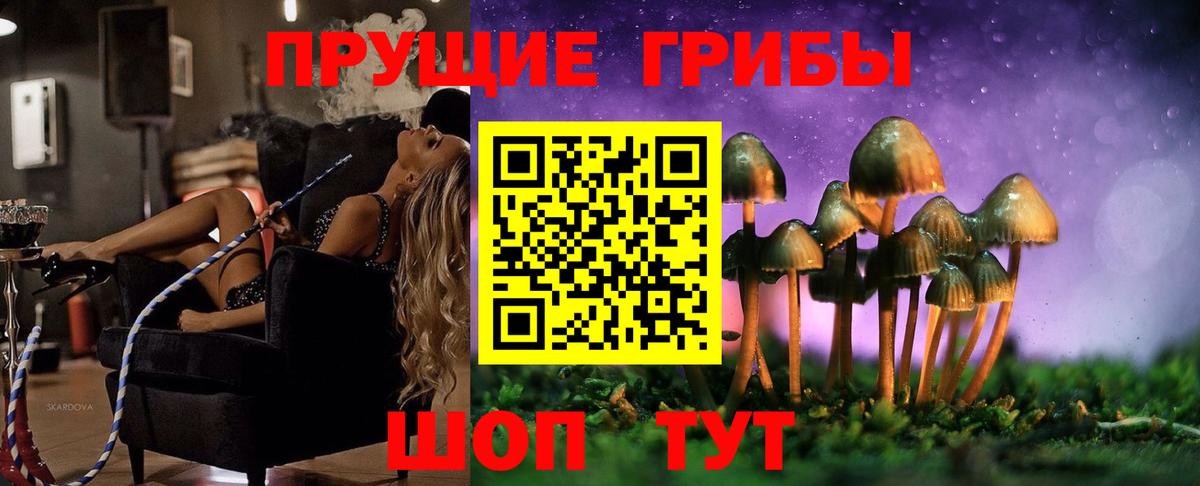 Псилоцибиновые грибы GOLDEN TEACHER Моздок