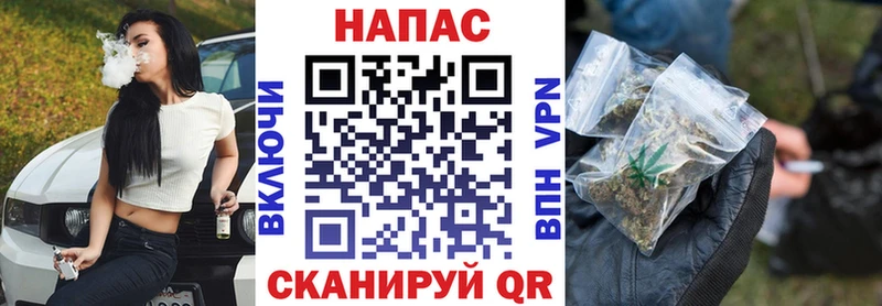 Бошки марихуана конопля  Моздок 